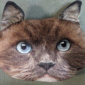 Urban Outfitters Cat Pillow Throw Decorative